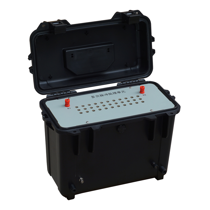 DR1 Multiple Pulse Processing Unit